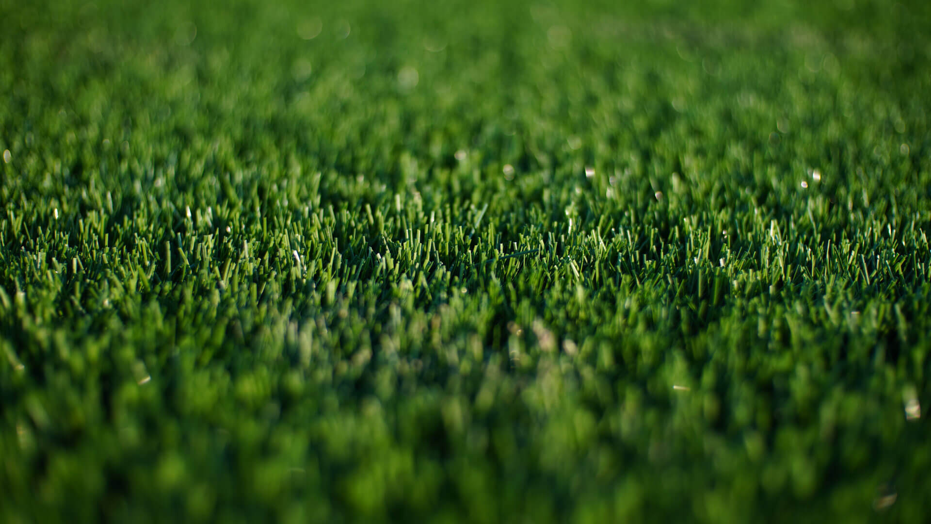 Lawn Care Treatments Dubuque, IA LiquiGreen